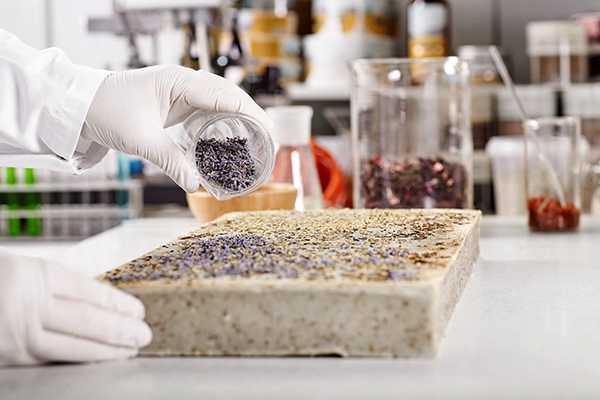 Quality Control Laboratory